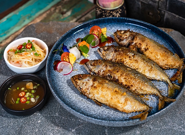 food-dish